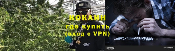дживик Волосово
