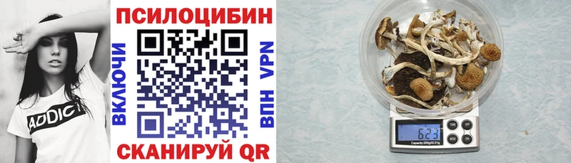 Галлюциногенные грибы Cubensis  Вытегра 
